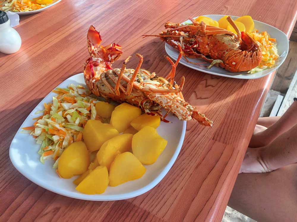 Lobster on plate with potatoes